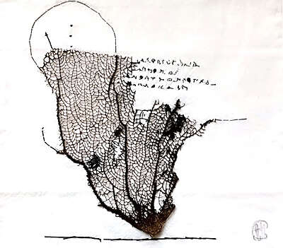 Agathe Mazzucotelli - Là-bas, la mer - Nîmes