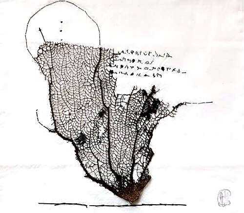 Agathe Mazzucotelli - Là-bas, la mer - Nîmes