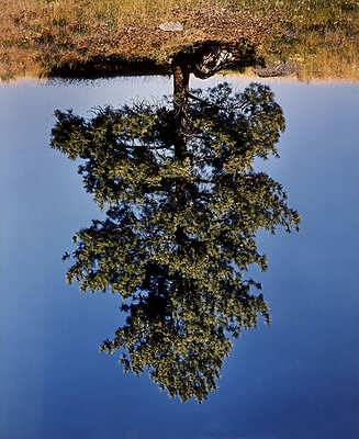 L'automne des idées - Angoulême