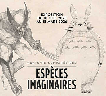 Anatomie comparée des espèces imaginaires - Lodève