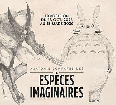 Anatomie comparée des espèces imaginaires - Lodève