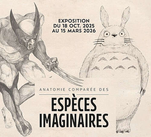 Anatomie comparée des espèces imaginaires - Lodève