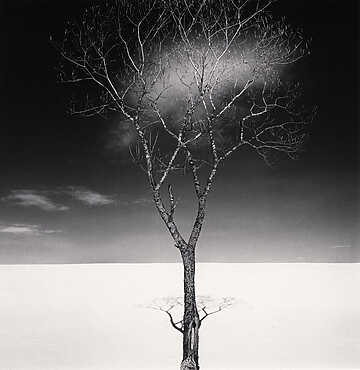 Michael Kenna – Constellation - Nice Musée Photographie Charles Nègre