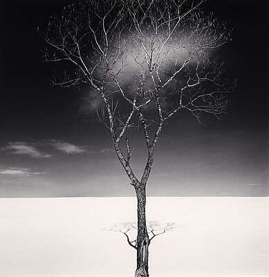 Michael Kenna – Constellation - Nice