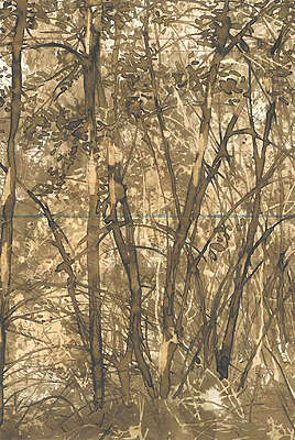 Jean-Luc Favéro - Nature Extérieure Intérieure - Toulouse