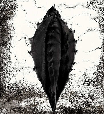 Didier Van Der Borght - Obscure nature - Perpignan