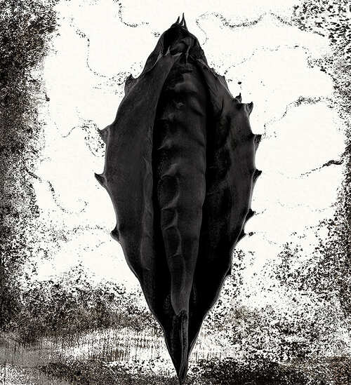 Didier Van Der Borght - Obscure nature - Perpignan