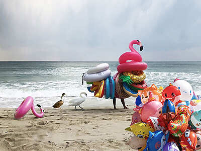 Les Journées de la Photo 2025 - Grenoble