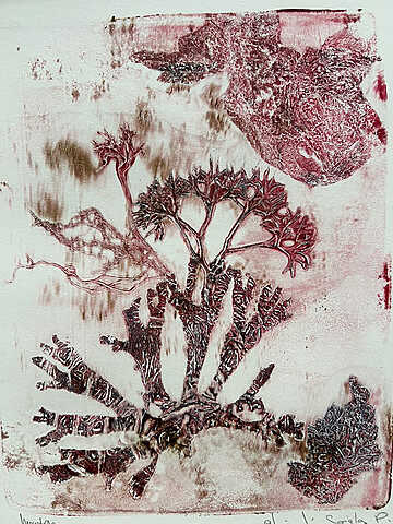 Christine Ségalas - Monotypes - Gimont