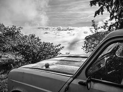 Cédric Gerbehaye - Buxbaumia - Toulouse