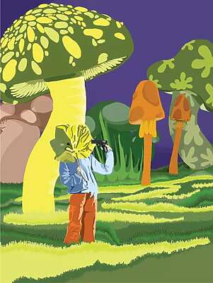 Futurs Désirables - Collective - Tarbes