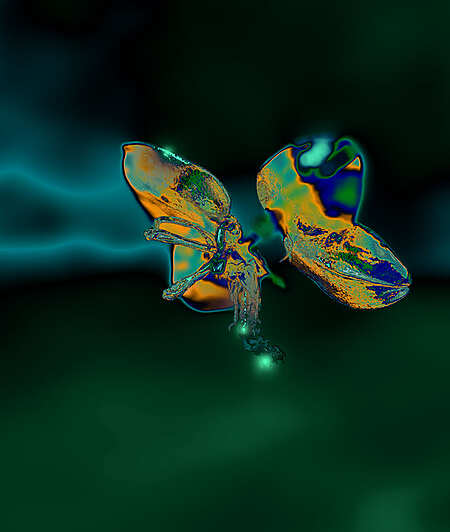 Manling Xue - Spectrum - Toulouse