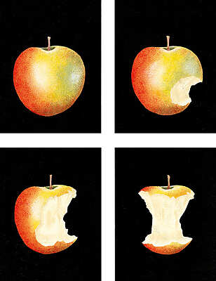 Bernadette Gervais, Métamorphose - Ronald Curchod - Toulouse