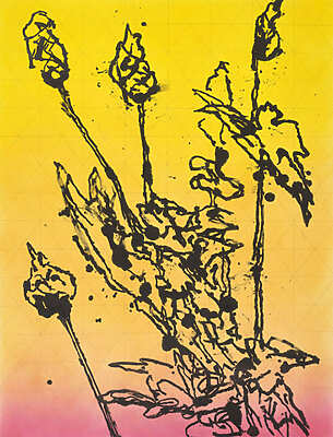 Rémy Jacquier - Changer d’aire - Pouzilhac