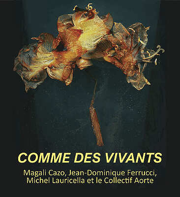Collectif Aorte - Comme des vivants – Toulouse