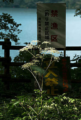 L’Écologie des relations - Angela Detanico et Rafael Lain - Marseille