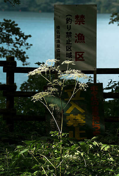 L’Écologie des relations - Angela Detanico et Rafael Lain - Marseille