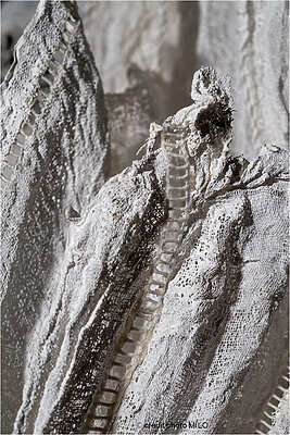 Céline Dayan - L'Étoffe des rêves - Muret