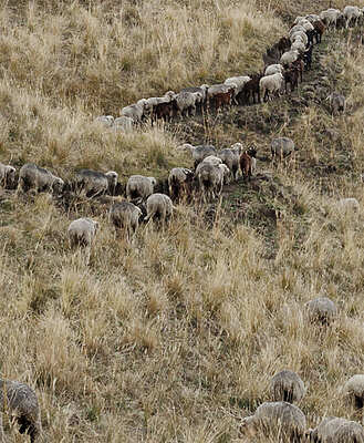 Etienne Maury - Paysage du Loup - Lyon
