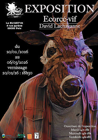 David Lachavanne - Ecorcé-vif - Foix