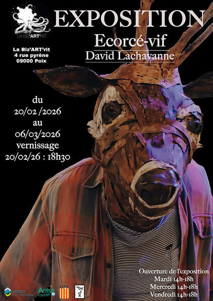 David Lachavanne - Ecorcé-vif - Foix