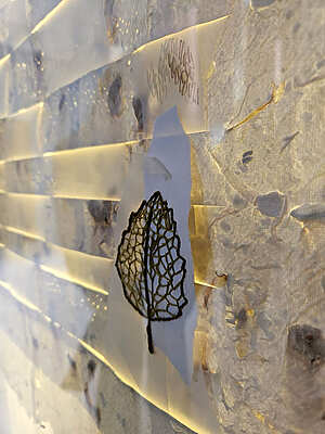 La Galerie Si invite Fanny Seugé - Double Vie  - Toulouse