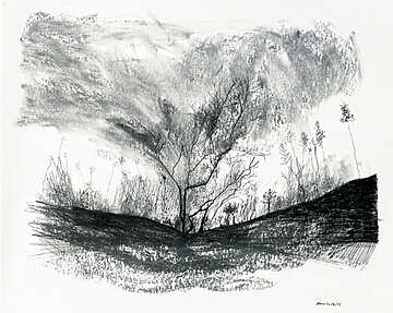 Anna Camille - Des arbres et des hommes - Bram