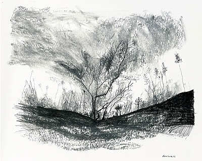 Anna Camille - Des arbres et des hommes - Bram