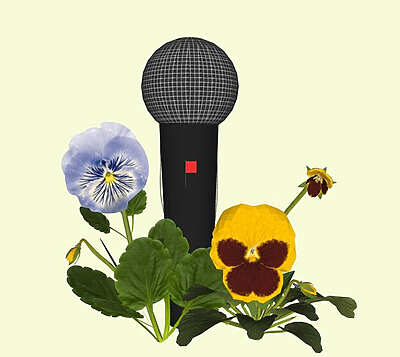 Geörgette Power - La barrière de la langue - Pau