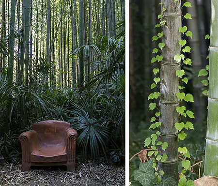Deux Images, un Regard : Le Diptyque à l'honneur - Montferrier sur Lez