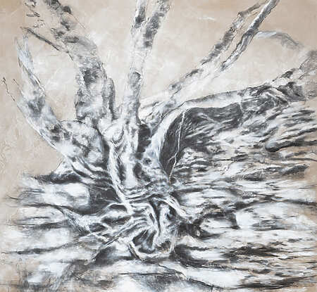 Barbara Schroeder - Arbres Mères. Ce que disent les pierres - Esquièze-Sère