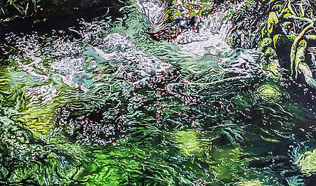 Adrien de Montbron - Sillons - Toulouse