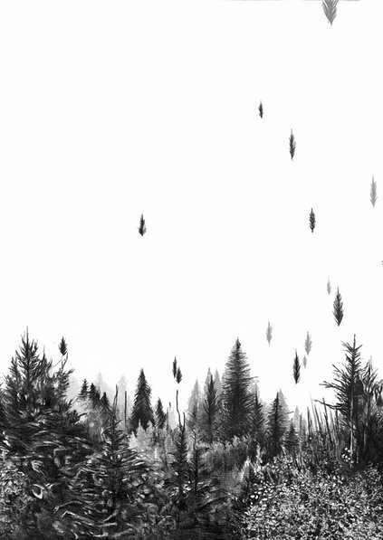 Camille Cathudal - Laetitia Ducrettet, Fouzia Khaia et Yan Lou - Tulle