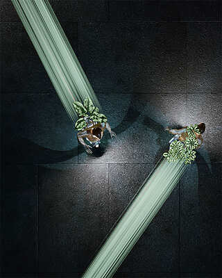 À l'écoute du vivant et Mezzanine Sud 2026 - Toulouse