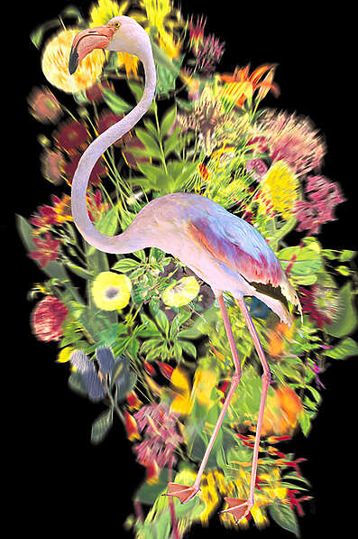 Philippe Assalit - Mystère !!... Naturellement - Aurignac