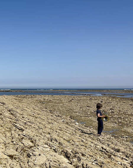 Stéphanie Sagot - Ce qu'il reste des vagues - Lattes