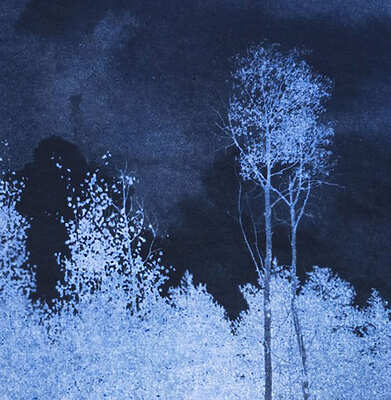 Morvarid K - Standing Still - La Rochelle