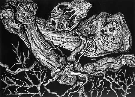 Hélène Damville - Architectures organiques - Céret