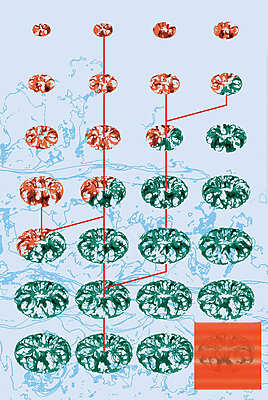  Thomas Gasquet - High Volatility - Toulouse