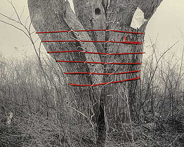 Hai Zhang – Monologue – Arles