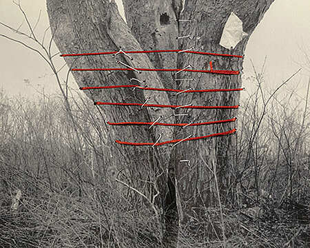 Hai Zhang – Monologue – Arles