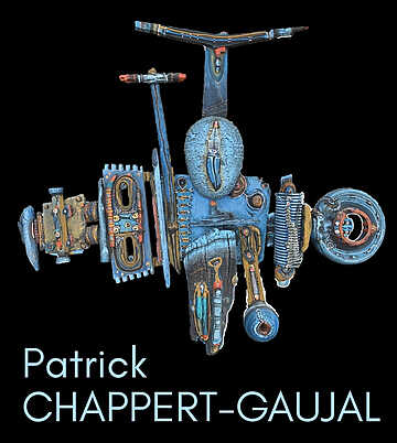 Patrick Chappert-Gaujal – Blan