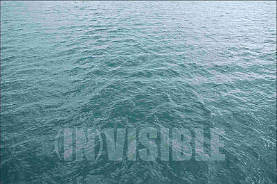 Carole Sionnet – (IN)Visible – La Rochelle