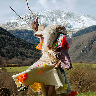 Bonté d’Ovine - La colporteuse - Pau