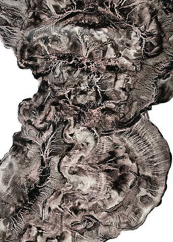 Anouck Manzoni - Anagogie - Lodève