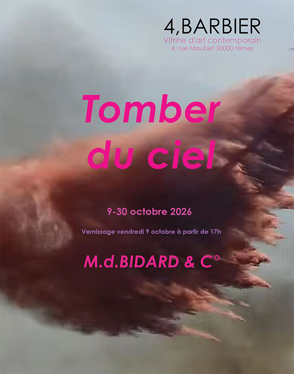 Md Bidard & C° - Tomber du ciel - Nîmes