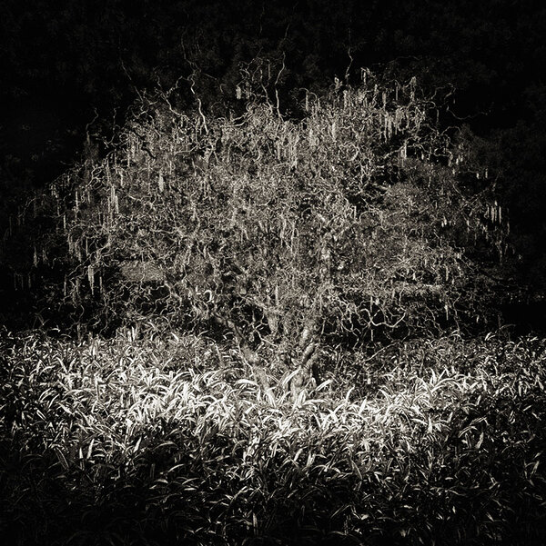 Fabrice Domenet - Métanoïa - Aix-en-Provence
